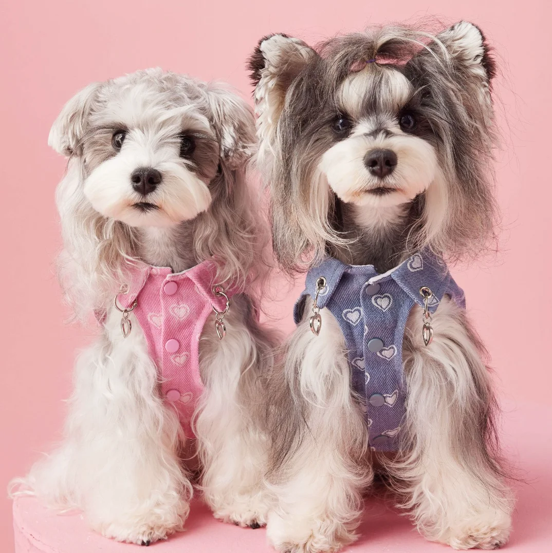 

Dog Spring Summer New Denim Vest Teddy Schnauzer Bichon Maltese Sleeveless Denim Shirt Love Print Pet Dog Jacket Pug Clothing