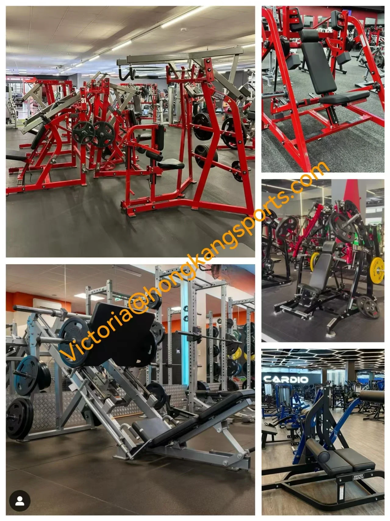 

Professional Commercial Fitness Gym Equipment Body Building Strength Machine Multi-Function Station Back Muscle Trainer