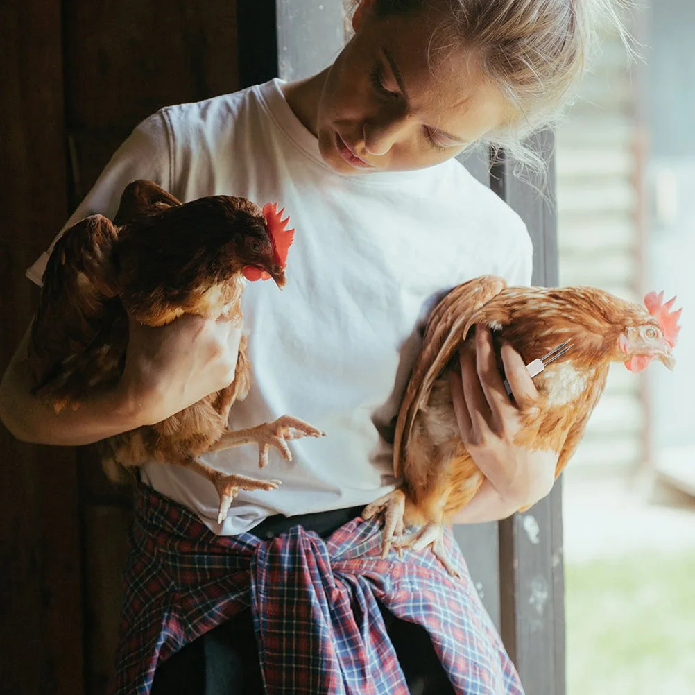 

9 Pcs Poultry Inoculation Needles Household Immunization Practical Fowl Pox Chick