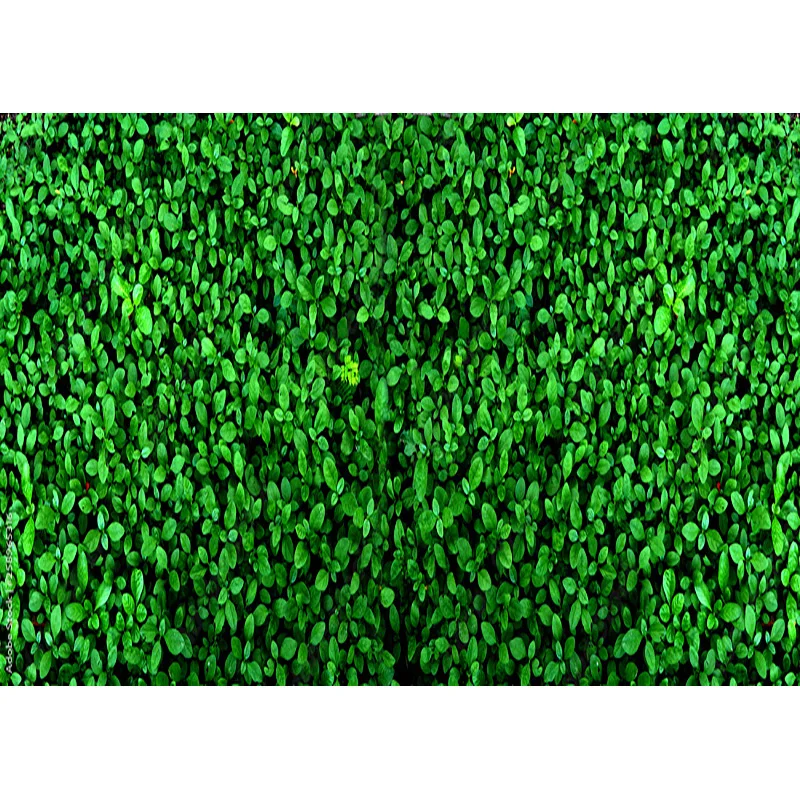 مستلزمات تصوير المناظر الطبيعية ، العشب الأخضر والسماء الزرقاء ، السحب البيضاء ، خلفية الصور ، مستلزمات الاستوديو ،