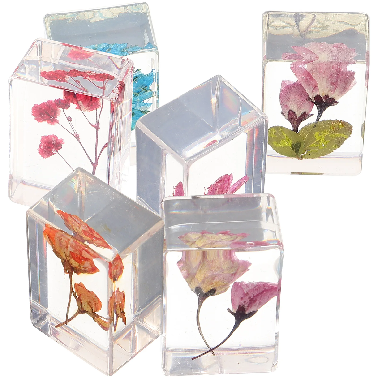 

6 Pcs Decoration Dried Flower Book Town Resin Accessories and Artificial Flowers Specimen Amber Plants Travel