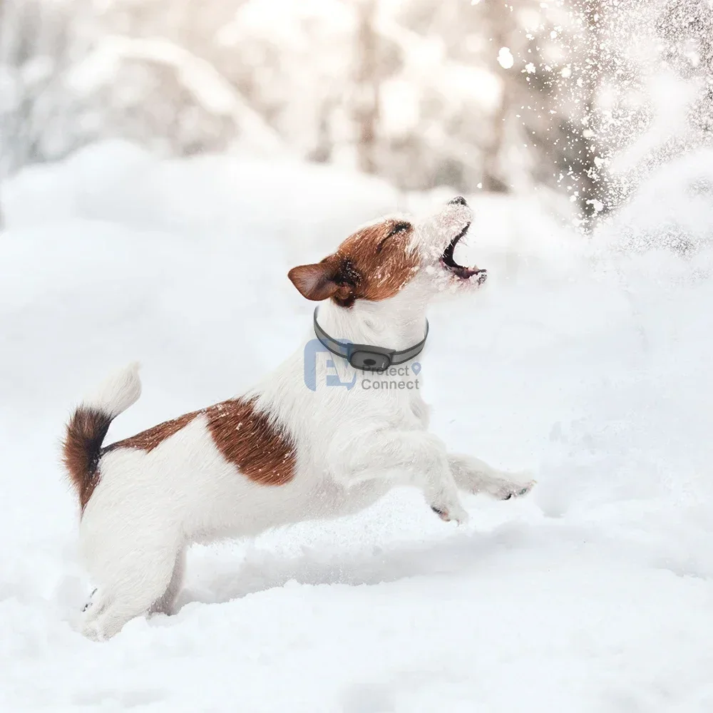 

In stock Satellite Real-Time Tracking GPS Pet Tracker EV-201M Dog Collar With Custom Packing Box