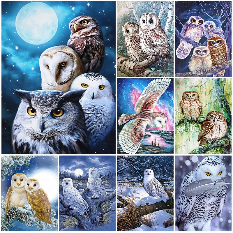 5D DIY Diamond Painting Animal Night Owl Diamond Mosaic Rhinestone Embroidery Painting Resin Full Round Gift Home Decor