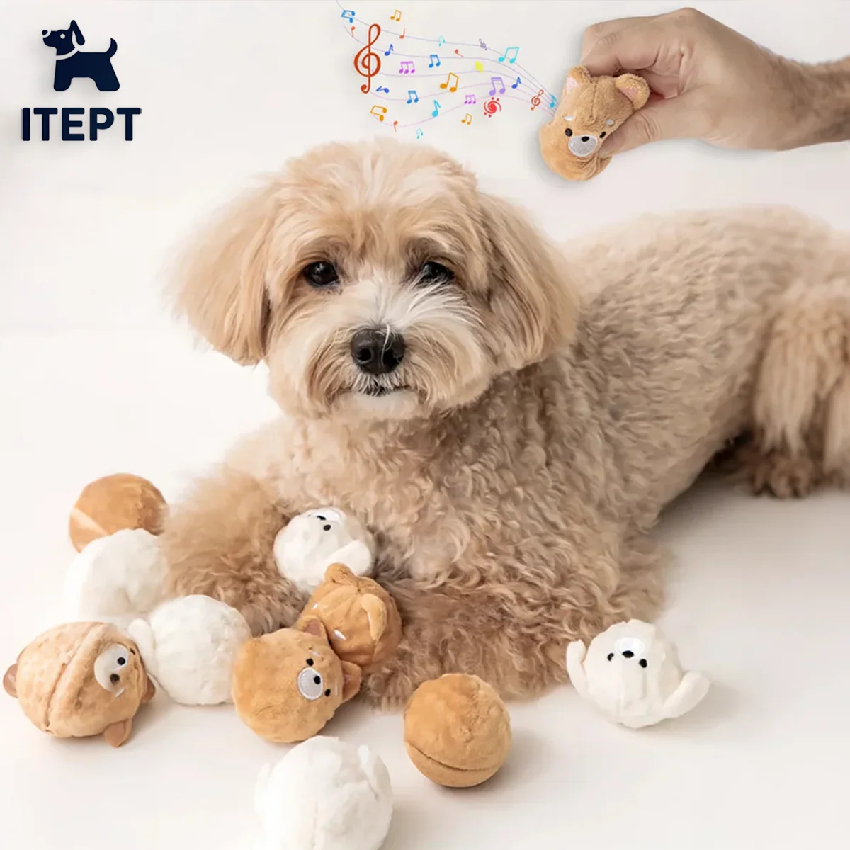 #41 Best Dog Balls to Buy In 2026