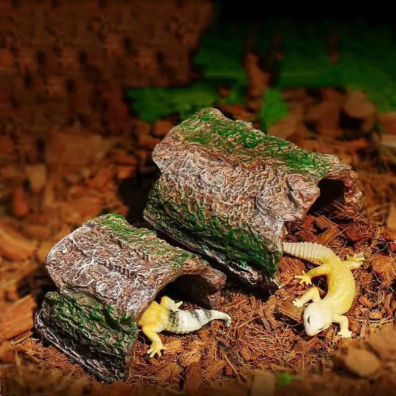 Creative Reptile Te…