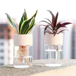 14cm*7cm Mini Hydroponic Flower Pot Home Vase Decor Transparent Imitation Glass Soilless Plant Pots Home Gardening Accessories