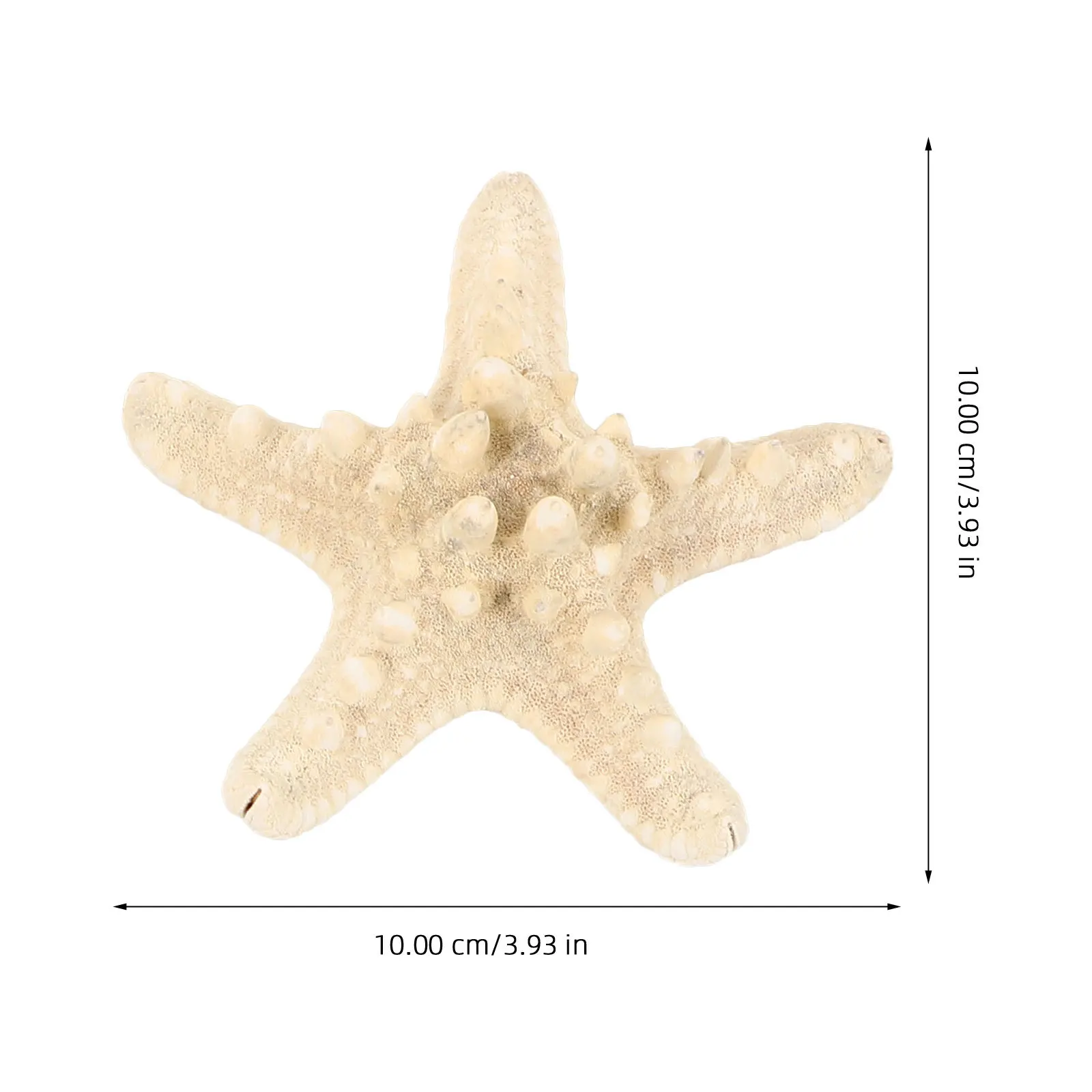 

8Pcs Sea Star Decorative Shell Ornaments Realistic Ocean Animal Figurines Home Wedding Crafts Simulation Sea Star