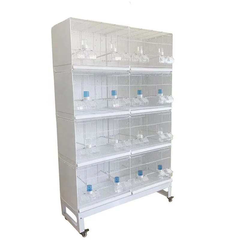 Jaula para Pájaros Hecha a Mano, Embalaje de Cartón, Plegable, Jaulas de Alambre Blanco para Cría de Canarios