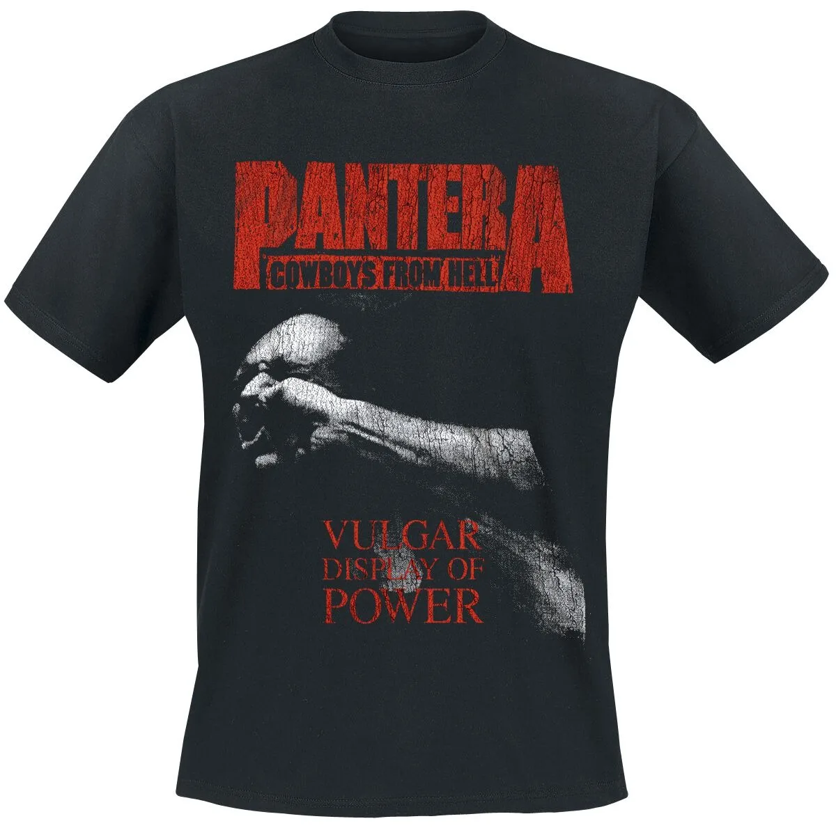 Camiseta Pantera Dual Album, Camiseta Thrash Metal con Logotipo Rojo Agrietado y Estampado Clásico de Foto de Puño, Merchandising para Fans del Metal