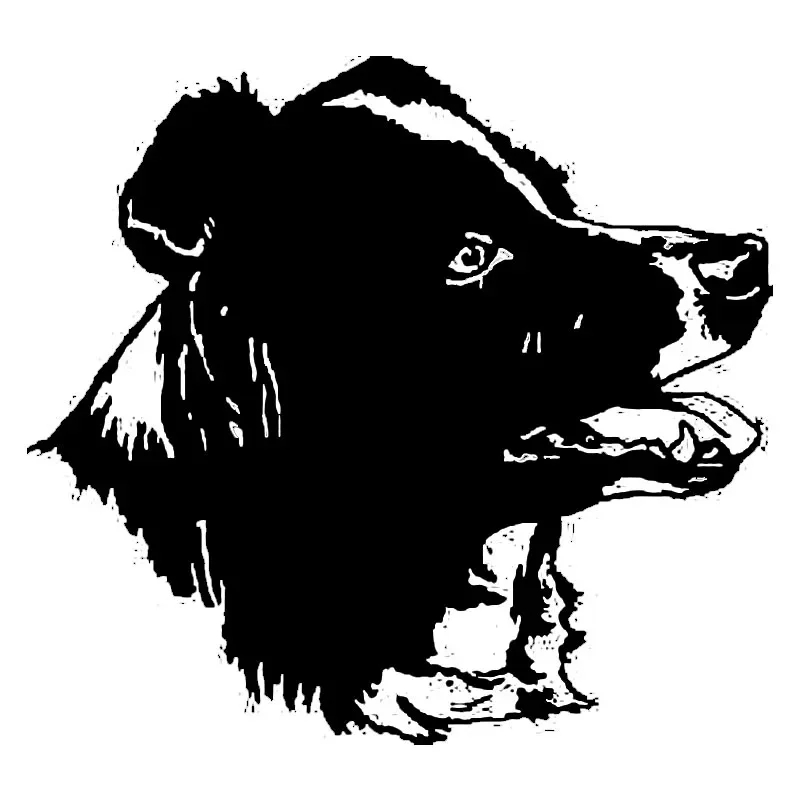 

Fun and Stylish Border Collie Dog Car Sticker Pvc Car Sticker Car Window Suitable for Various Models Black/white, 15*14CM