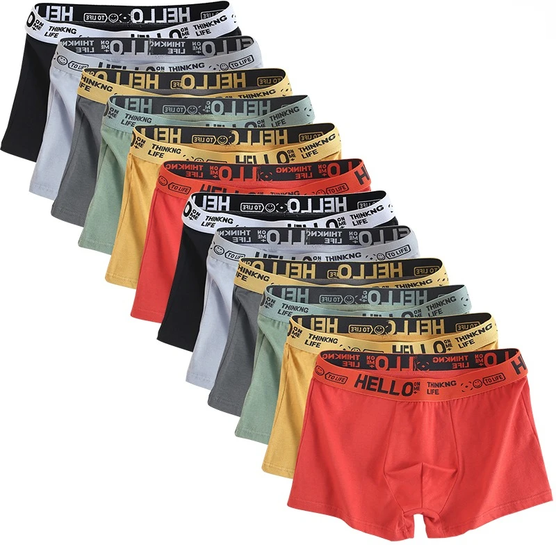 6 pezzi Intimo da uomo Mutande di cotone da uomo Mutandine da uomo puro da uomo Pantaloncini Boxer traspiranti Comodi morbidi Taglie forti