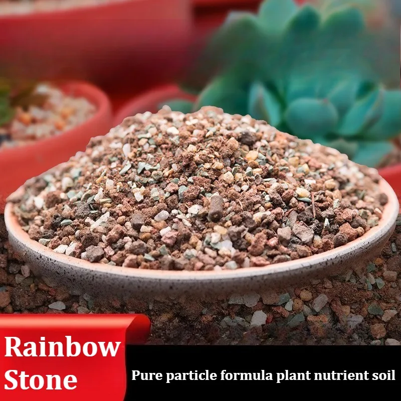 

500 г/1000 г специальная формула для суккулентов, радужный камень, чистые частицы, горшок «сделай сам», украшение для сада, тротуар, посадка, смешанная почва