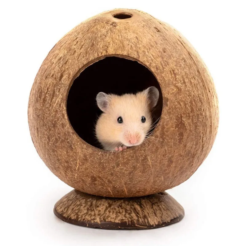

Natural Coconut Shell Pet Nest, Warm Winter Shelter for Parrot Hamster, Durable Chew Toy for Teeth Grinding, Cozy Hideout Cage