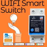 eWelink 63A Smart Switch Relay APP Remote Control Timer Inching Function Din Rail 2P Smart Switch Works With Alexa/Google/Salute