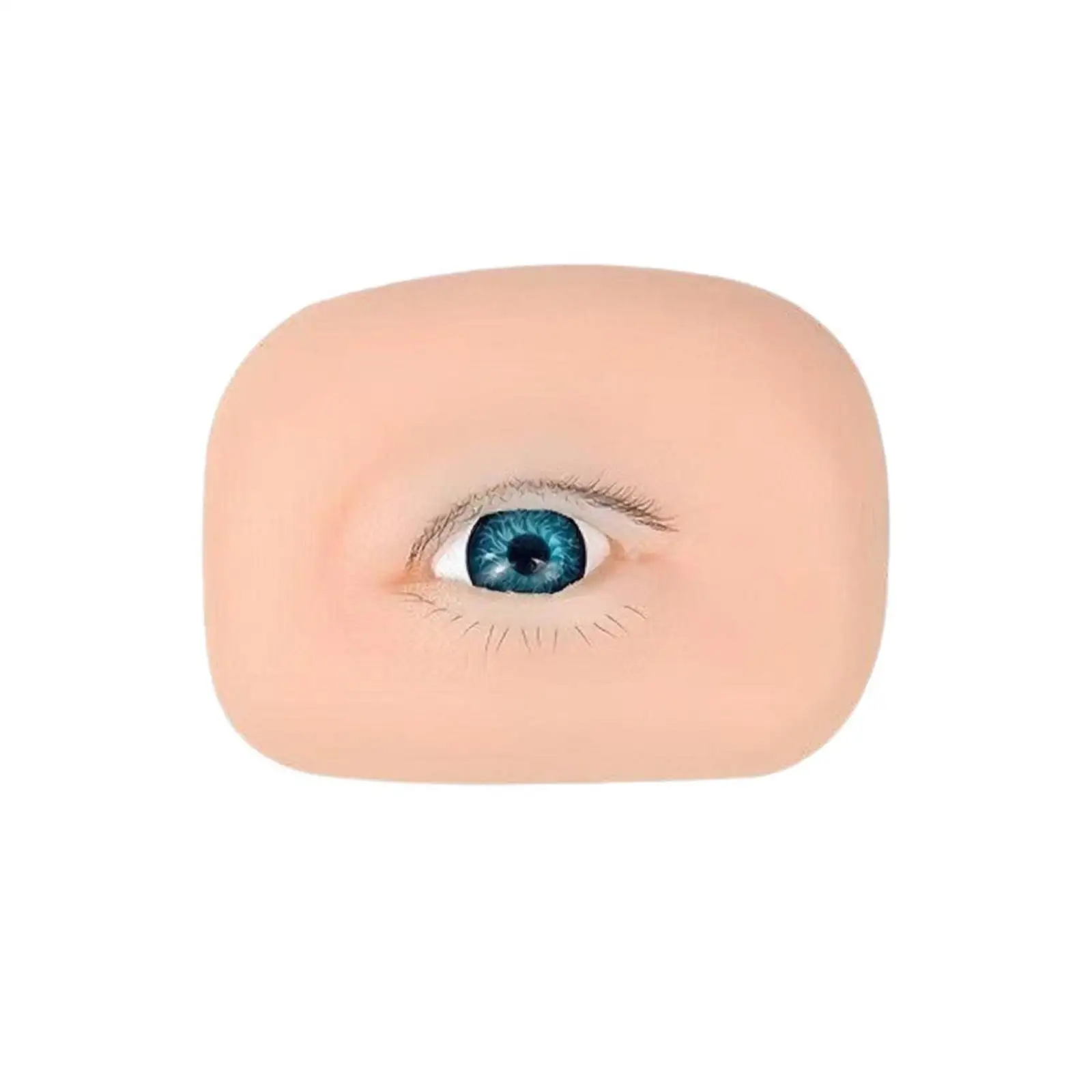 Eyelash Practice Module for Beginner Lash Techs with 5 Pairs of Training Lashes on Eye Form