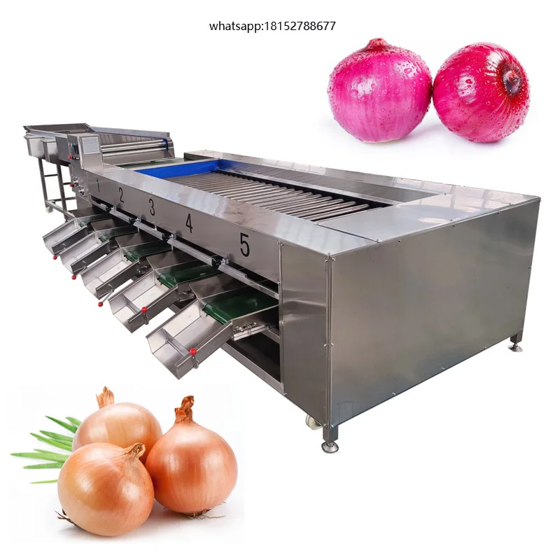 Automatic Fruit and Vegetable Sorting Potato Tomato Orange Avocado Onion Grading Washing Size Weighing Machine