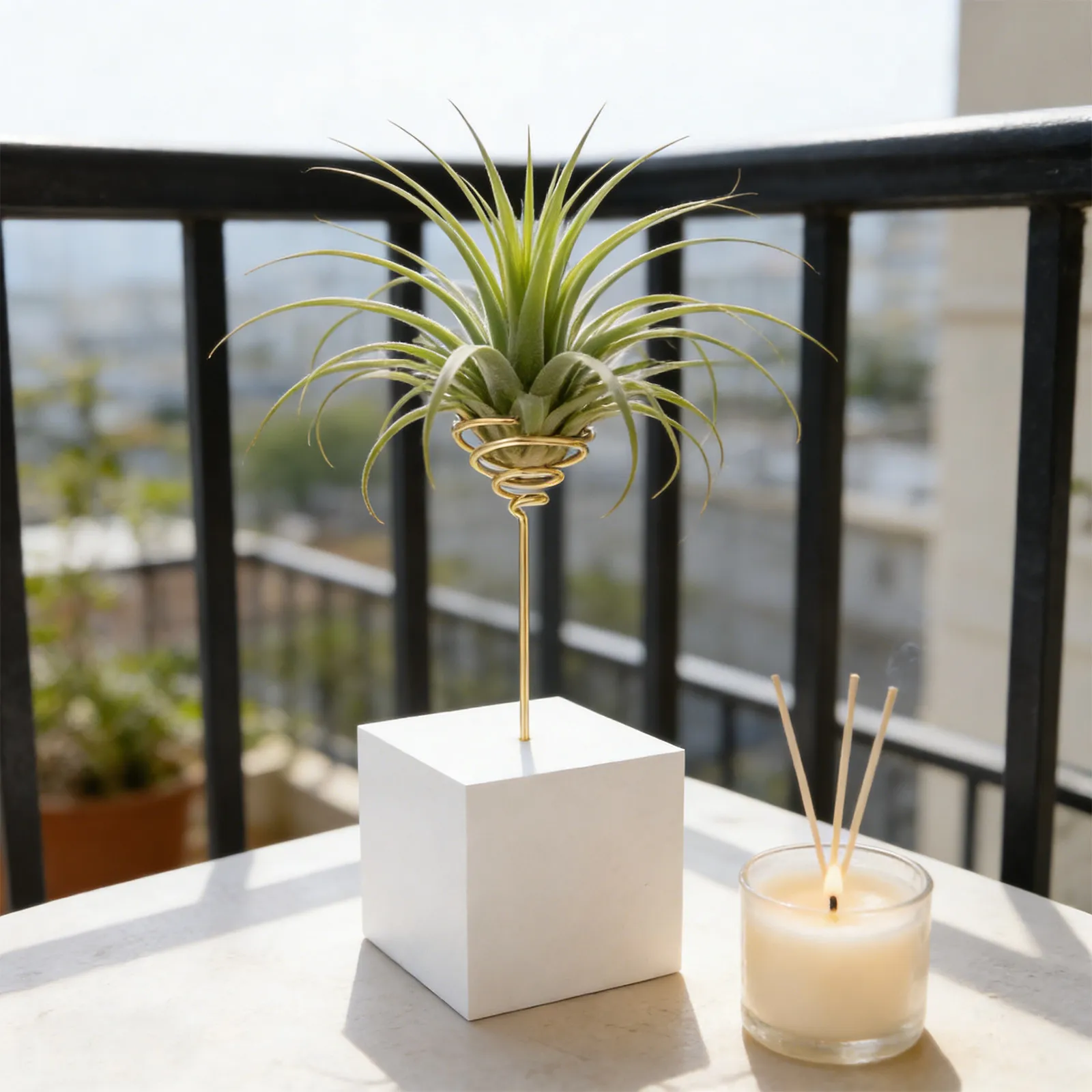6Pcs Metal Geometric Plant Holder Electroplated Iron Flower Stand Spring Base Tabletop Wall Air Plant Display Rack 6.18 Inch