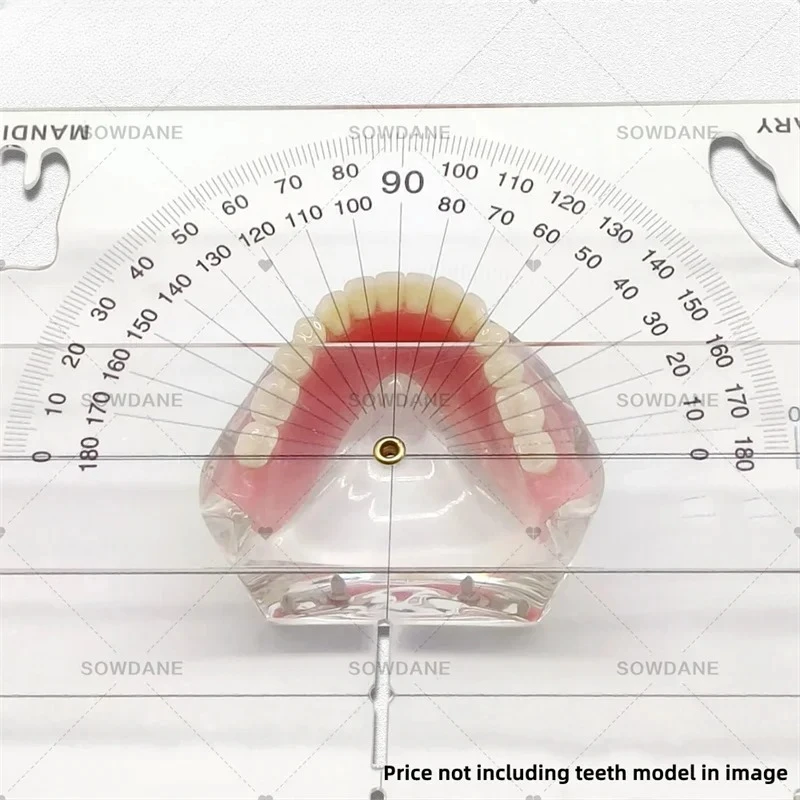 Premium New Guide Plate Lab Cephalometrics Ruler Protractor Measuring Ruler