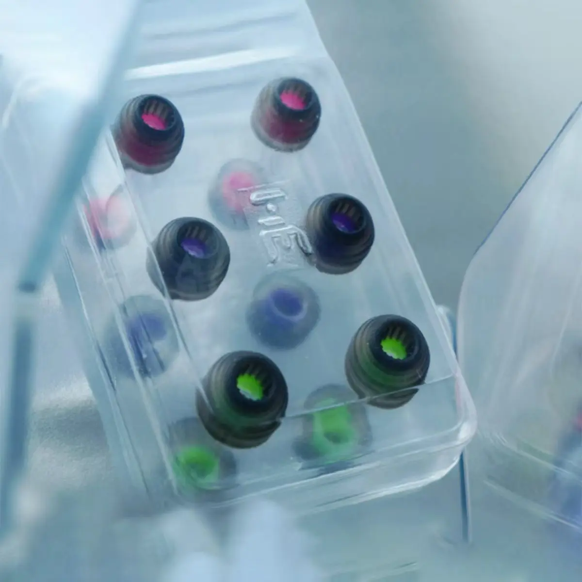 أوديون HE سونيك سماعات الأذن أغنية النهر الطويل