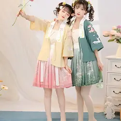 Spring and summer New Song Dynasty Hanfu women's Adult Costume Chinese style Han elements super fairy embroidery skirt with susp