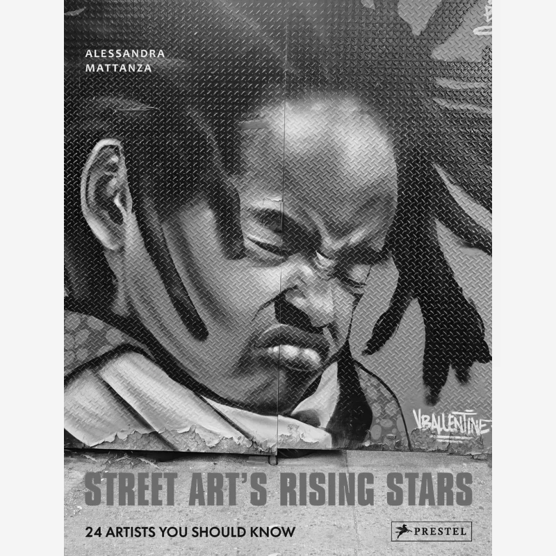Street Arts Rising Stars 24 Artists You Should Know Alessandra Mattanza Prestel Publishing 9783791389929 Book