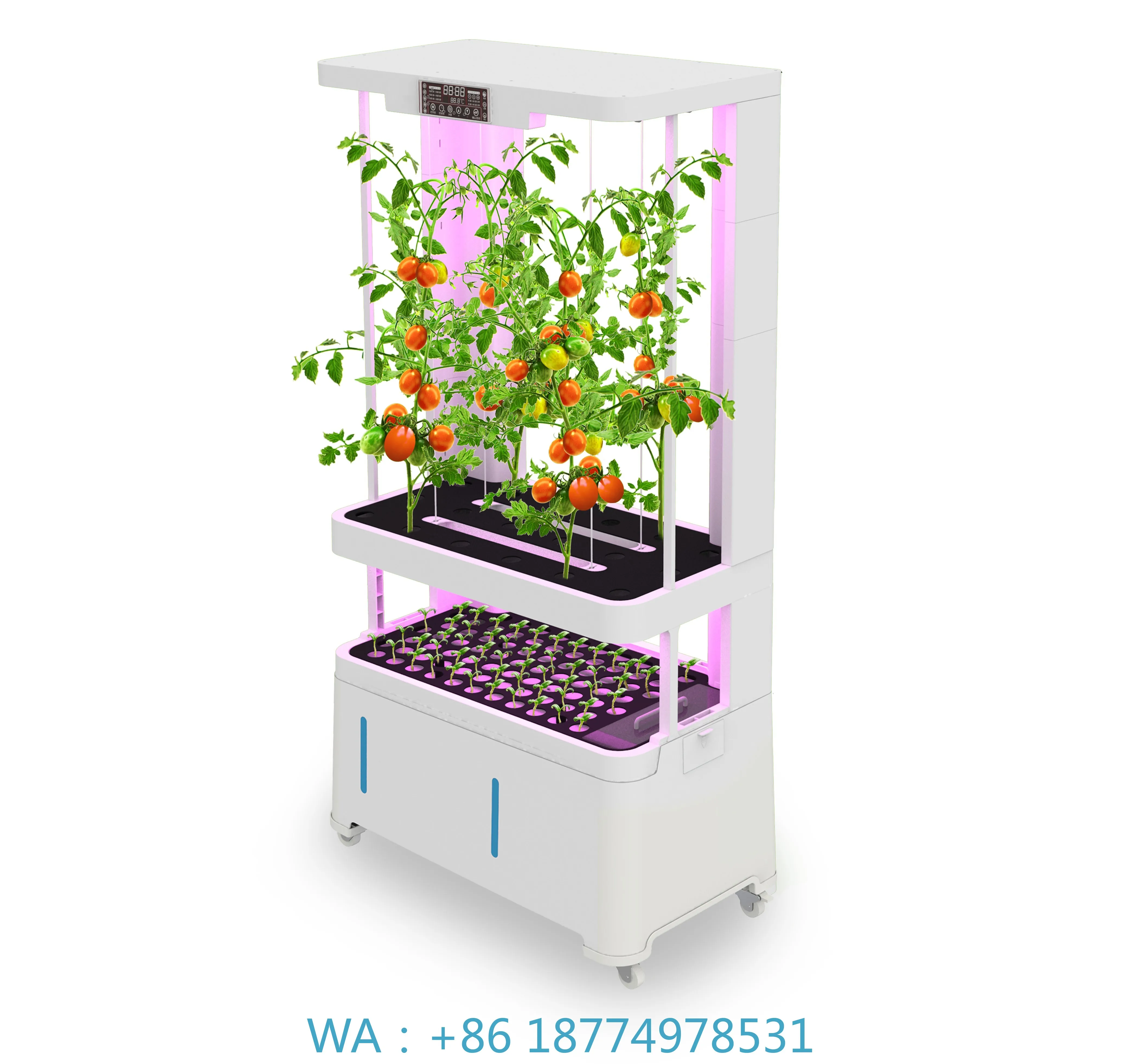 

Оборудование Smart Micro Greens для посадки овощейВысококачественные экологически чистые продукты Torre Hidroponica Вертикальное сельскохозяйство