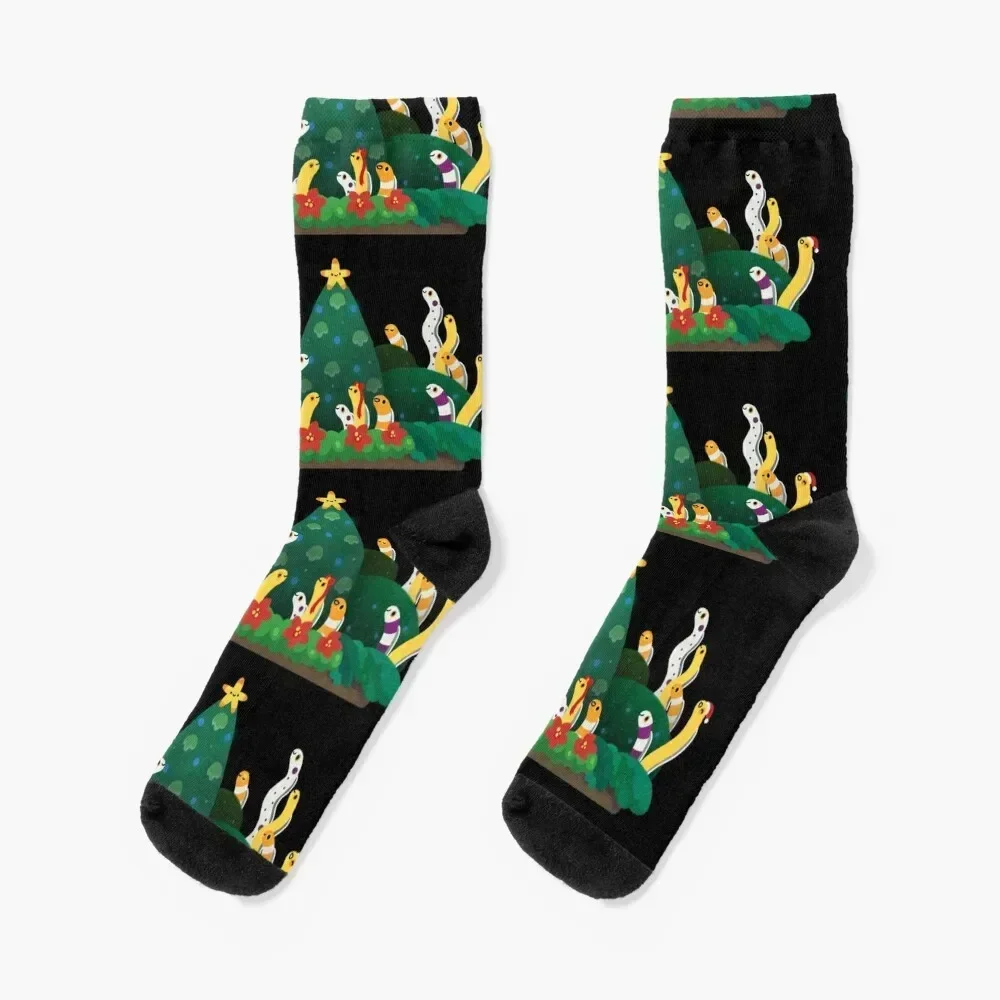 Christmas garden eel Socks Argentina gym Socks For Man Women's