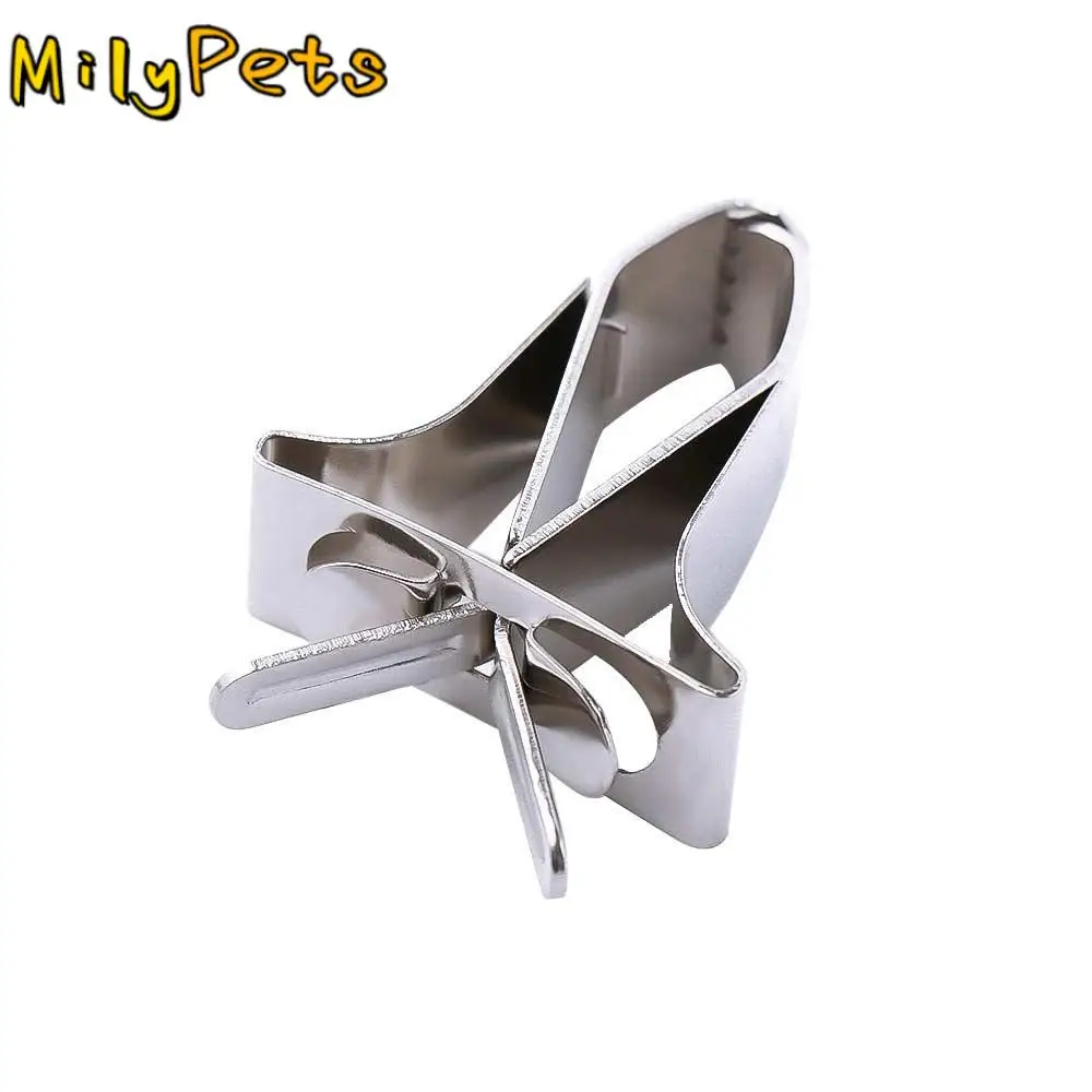 

Conure Budgie Cage Accessories Vegetable Fruit Stainless Steel Clip Feeding Clamp Parrot Feeder Bird Food Holders