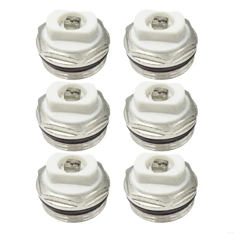 E21B 6PCS RADIATOR VALVES RELEASE