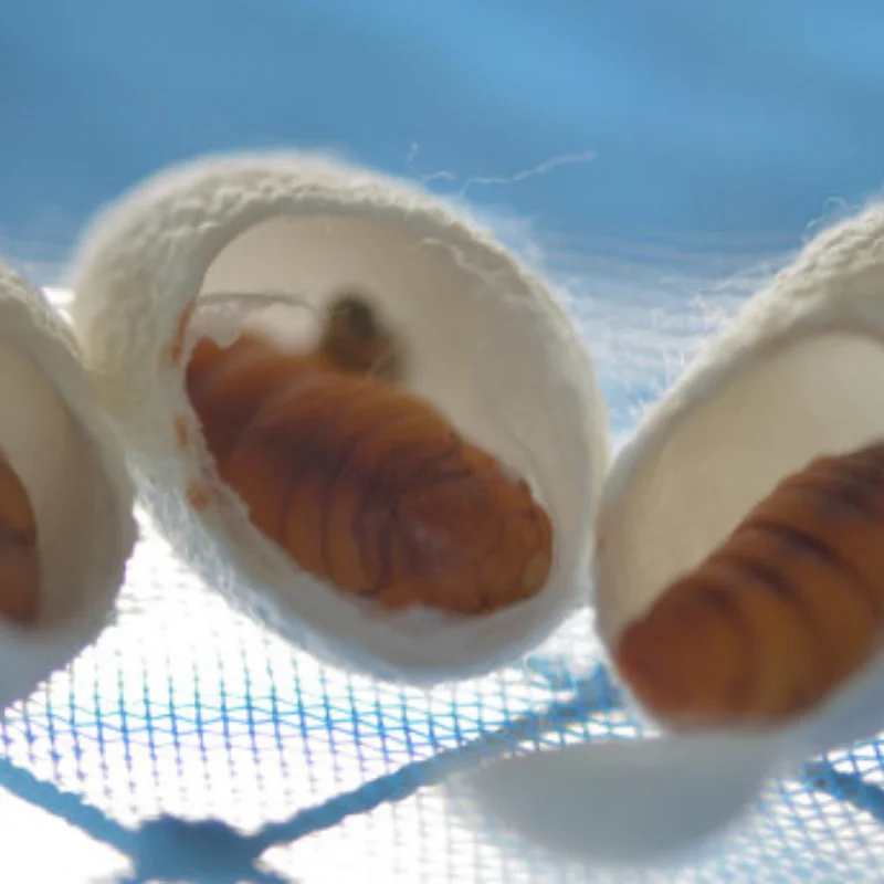 

Комплект обновления портальной оси FMS 1/24 FCX24 — цельнометаллический узел передней и задней оси для радиоуправляемых моделей FCX24/Xiaoqi/Crusher/Chevy K5