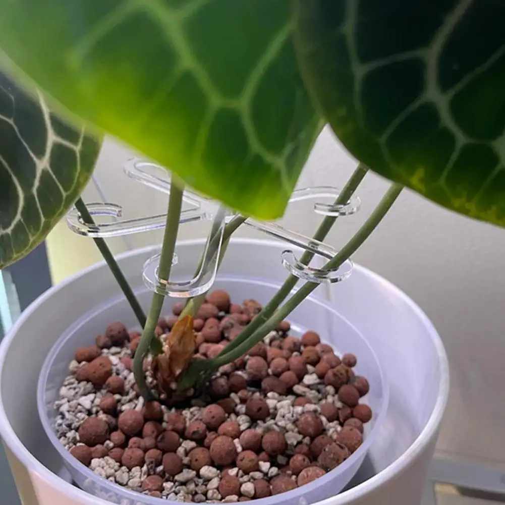 

2 шт. опоры для стеблей растений, акриловые держатели для стеблей растений, многоразовые опоры для стеблей растений, лозы, садовые аксессуары