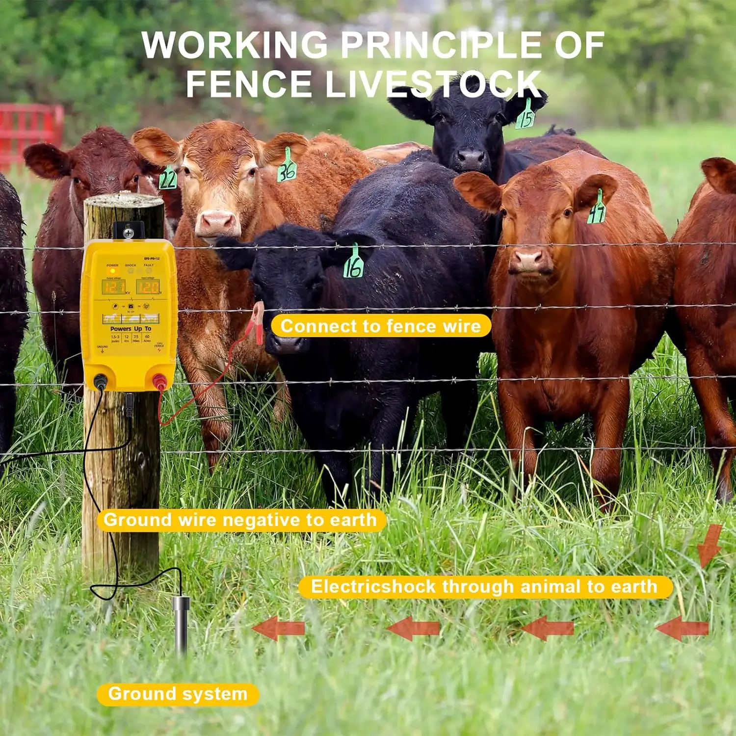 سياج كهربائي 12 كجم، سياج حيوانات، حيوانات، زراعة الدواجن، راعي، أداة سياج مقاومة للماء