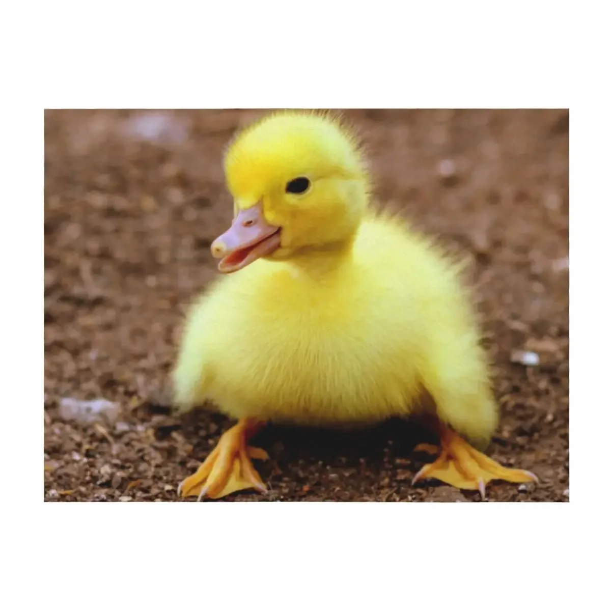 

ANIMALS #62 - Adorable Yellow Duckling Throw Blanket decorative Travel Flannel Flannel Fabric Blankets