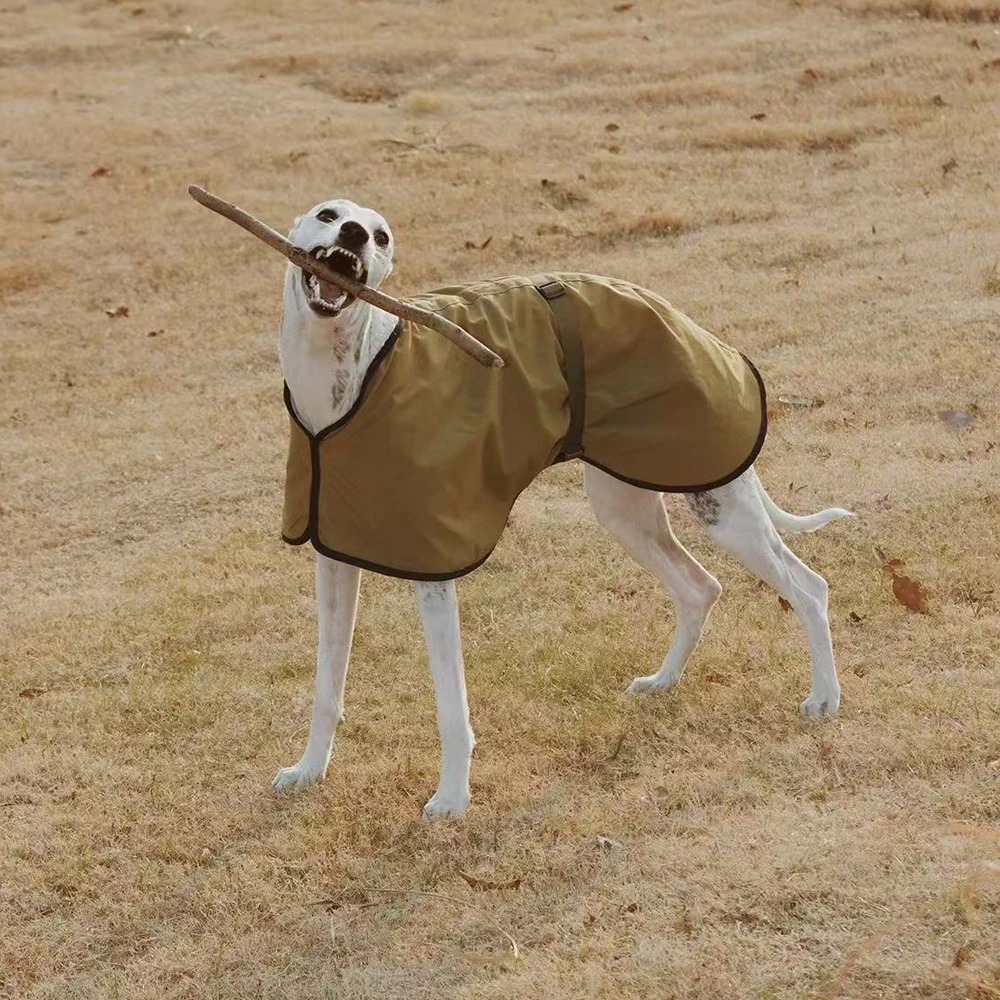 سترة شتوية مقاومة للرياح من صو - مراجعة Winter Clothing For Dogs وسعره