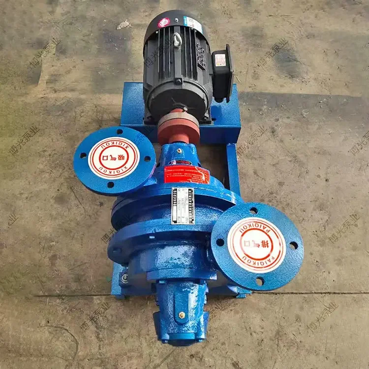 Water Ring Vacuum P…