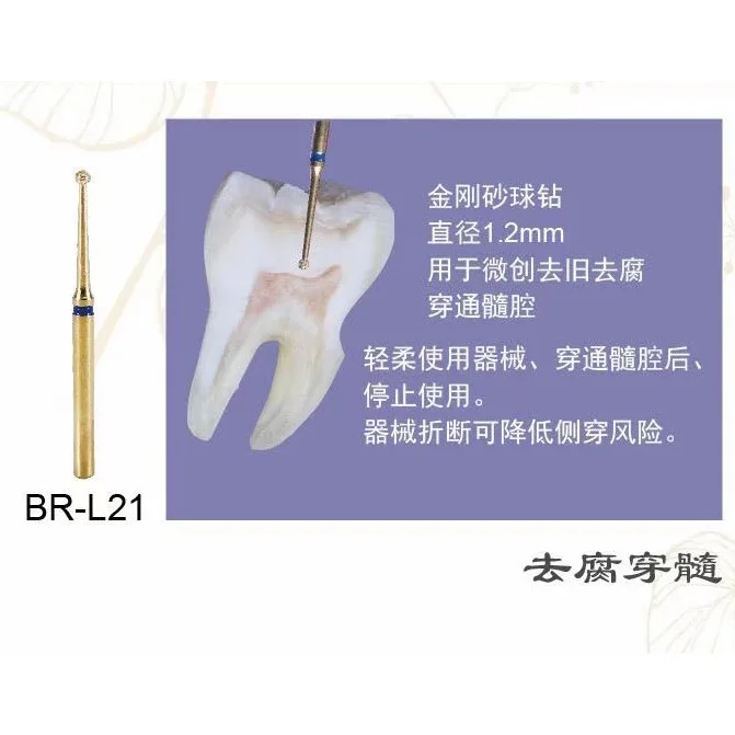Variant: 10pcs BR-L21