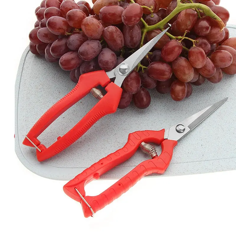 Garden Pruning Shears Potted Branches Scissors Fruit Picking Small Scissors Household Hand Tools Orchard Farm Gardening Tools