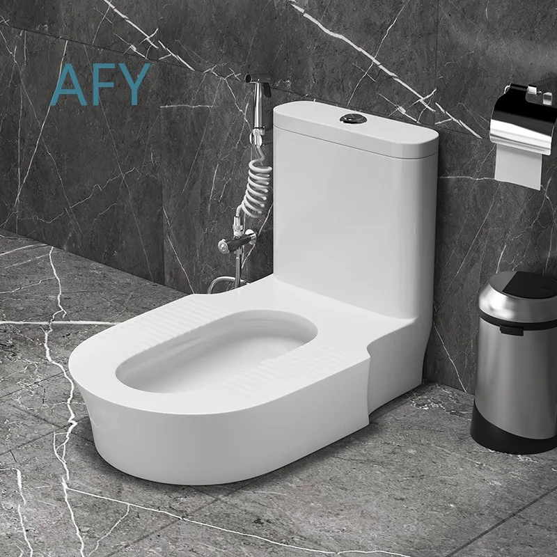 Squat Toilet Conversion Kit for Standard Western Toilets No Digging Required Ceramic Trap Deodorizing System Easy Install