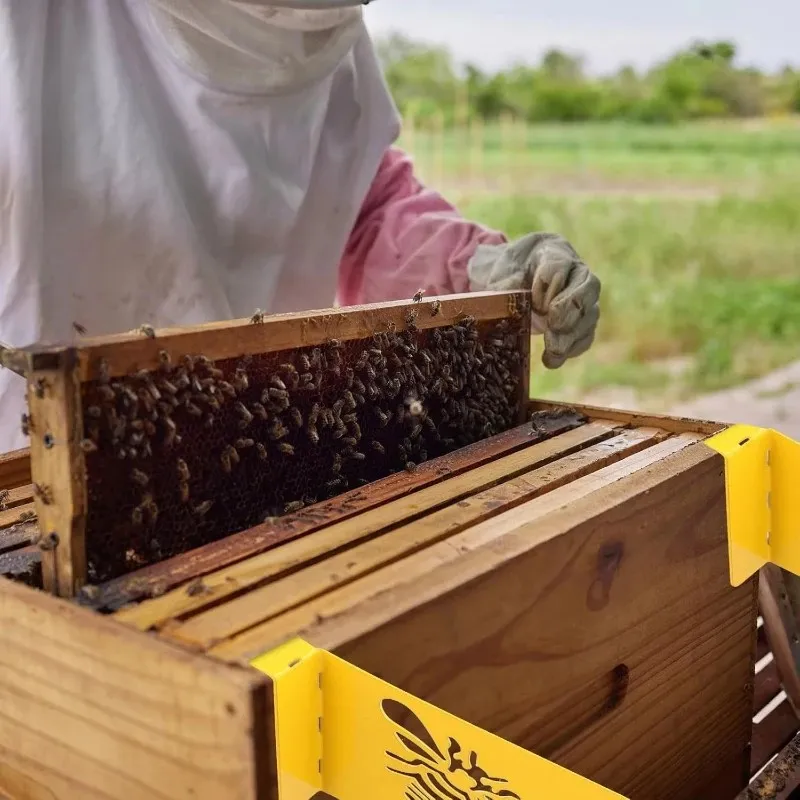 Top Quality Easy-to-Use Metal Hive Frame Kit for Bee Collection Essential Beekeeping Tools And Supplies No Electricity Required