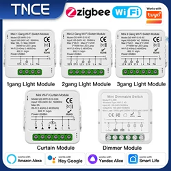TNCE Tuya Wifi/Zigbee Lamp/Curtain/Dimmer Switch Smart DIY MINI Module 2-way Controller,APP Voice Work With Alexa Google Home