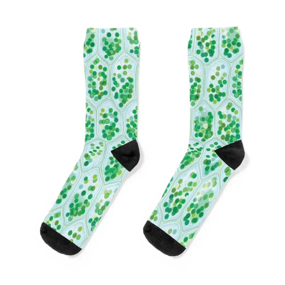 

Chlorophyll Cells seamless pattern Socks Stockings compression Run floor Socks Women Men's