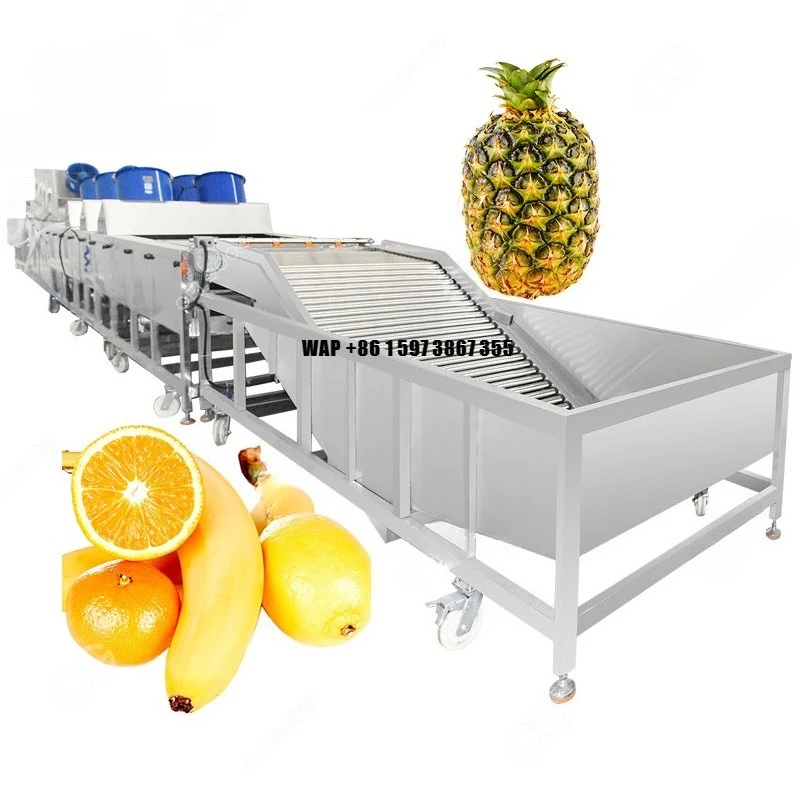 Industrial Melon Mango Pineapple Fruit Washer Vegetable Washing and Processing Plant Machine for Cleaning and Cutting Pineapple