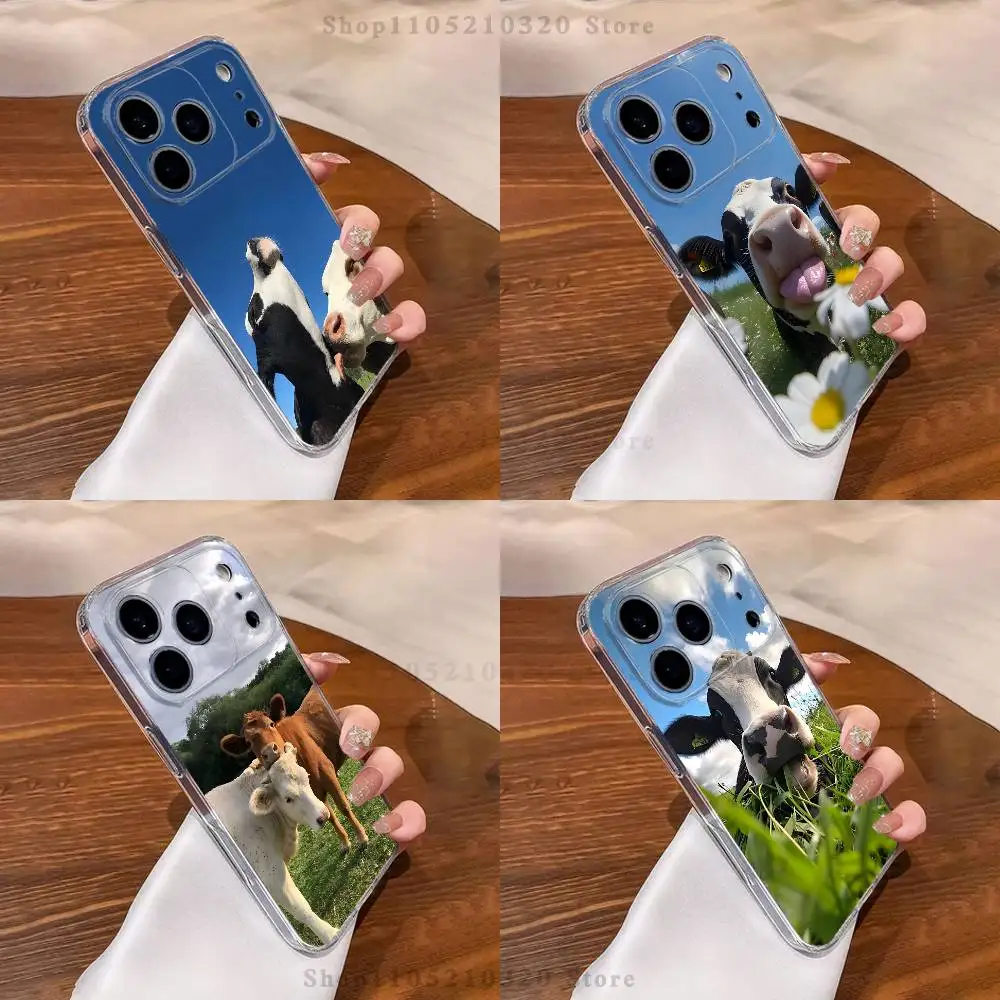 

Lovely Cute Cow Cows OX Phone Case For iPhone 17,16,15,14,13,12,11 Pro,Max,Plus,X,XS,XR,SE4,E Mini Transparent Soft Cover