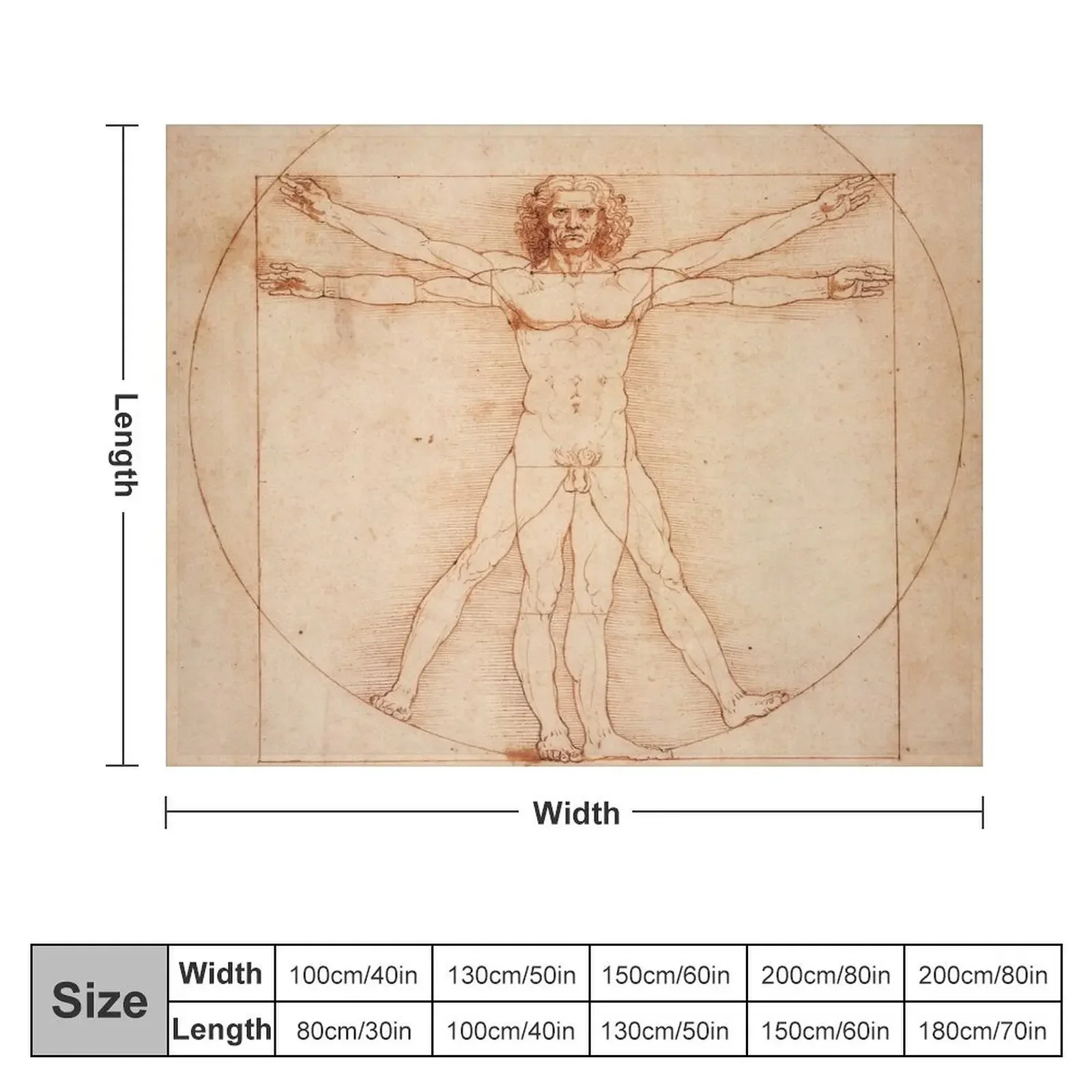 Vitruvian Man by Leonardo Da Vinci (1490) Throw Blanket for winter Sofa Throw Hair Sofa Blankets