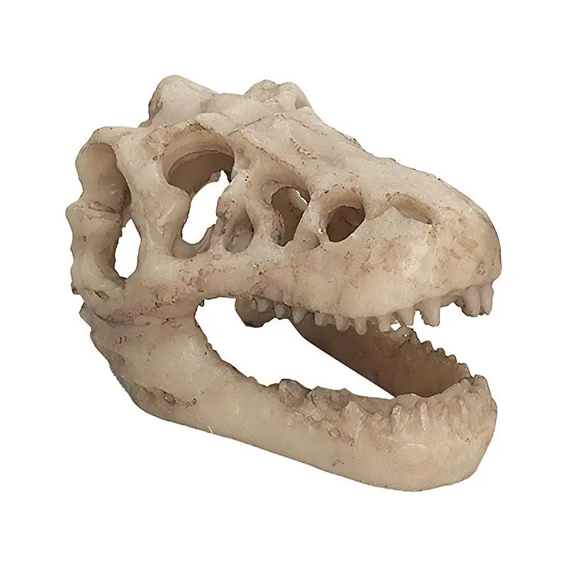 Dinosaur Skeleton Model Resin Dinosaur Skull Decor Skull Cave Reptile Ornament Unique Aquarium Terrarium Decoration Dinosaur