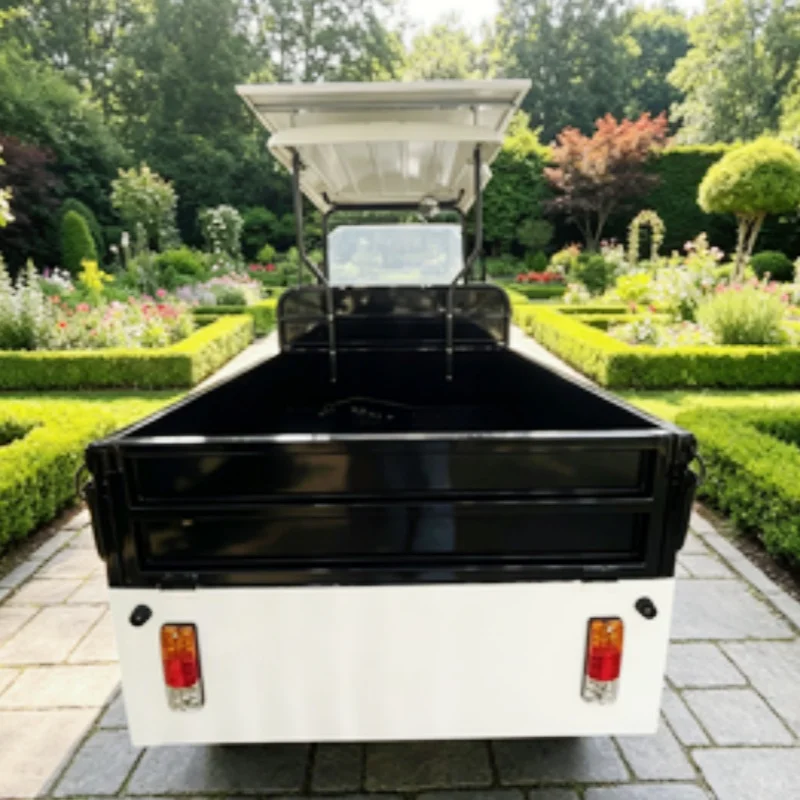 Stylish Faster 60V 72V 2 Seats Smart Electric Golf Cart For Golf Course 12-Inch Off-Road Tires Rear Cargo Box Solar Panel