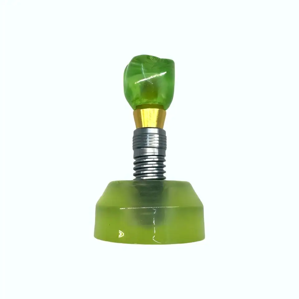 Professional Dental Implant Demonstration Model Showing Thread Details and Abutment Connection for Patient Education Clinics