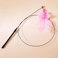 Pink Feather
