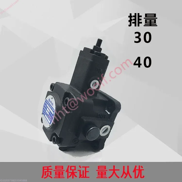 油圧オイルポンプ VPVC-F20/F12/F30/F40-A4/A3/A2/A1-02A/031A 可変ベーンポンプ