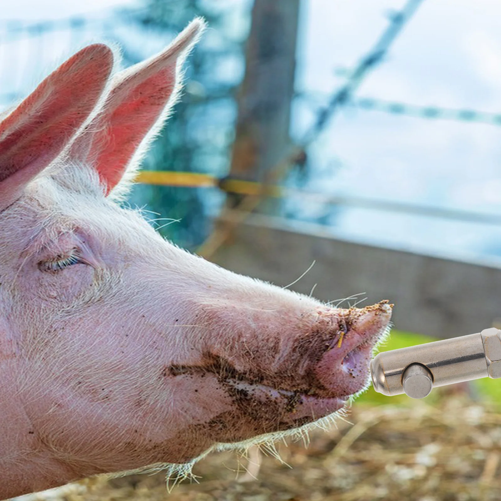 

Stainless Steel Pig Waterer Splashproof Reusable Ergonomic Nozzle Commercial Home Livestock Watering Tools Piglets Drinking